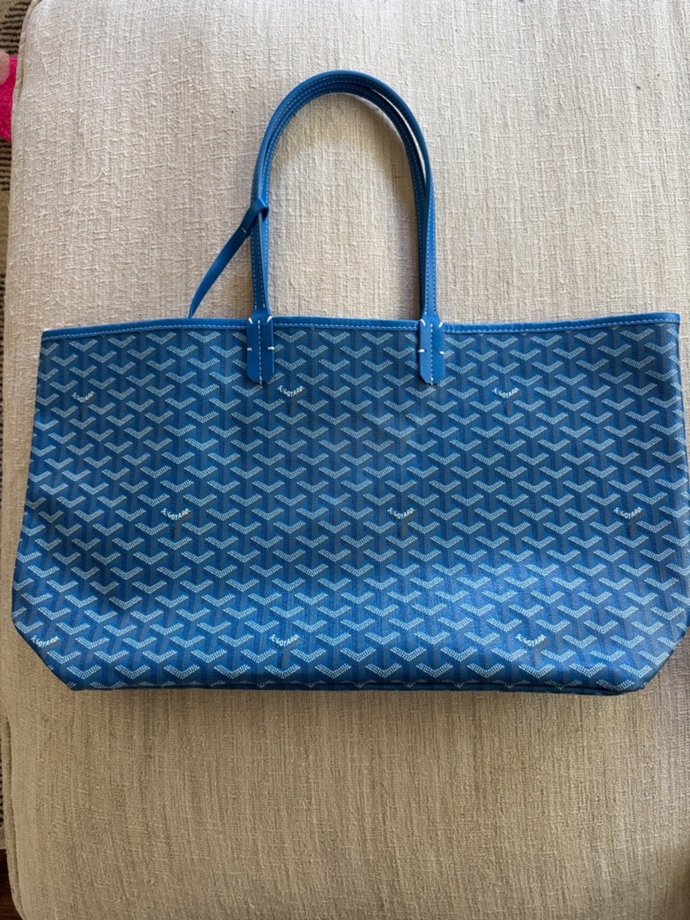 Sky Blue Tote